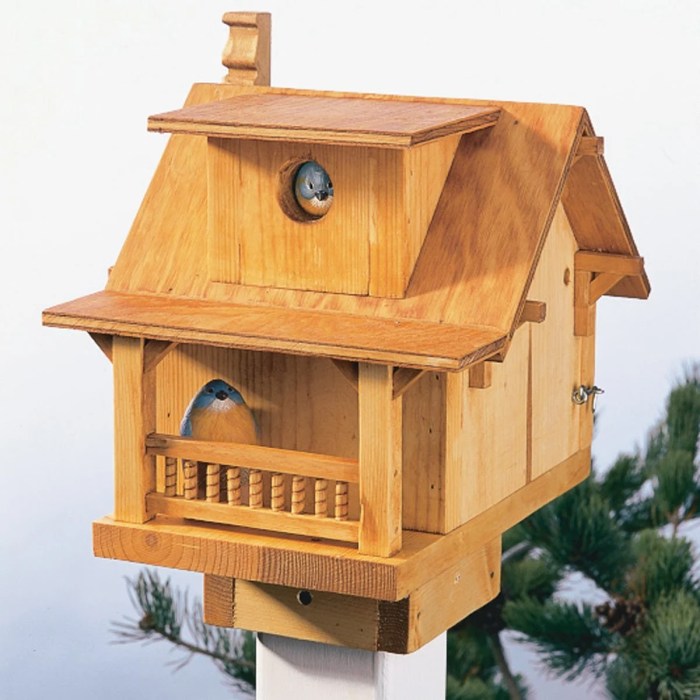 Plans bird house birdhouse houses easy woodworking build pdf side simple diy wood bat projects roof plan make box