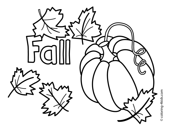 Easy Autumn Coloring Book Cute Simple and Large Print Coloring Book Featuring Charming Fall Inspired Illustrations for Adults and Kids  Cute Animals Gnomes Magical Pumpkins Flowers and More