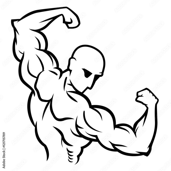 350 Poses for Artists Muscled Bodies Anatomy of the Musculature Drawings of bodybuilders and superheroes in different postures references to draw