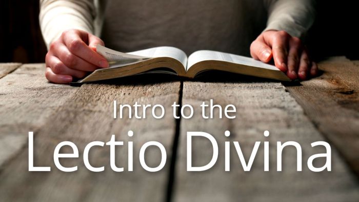 Daily Gospel Reflections using Lectio Divina for the 2023 Liturgical Calendar