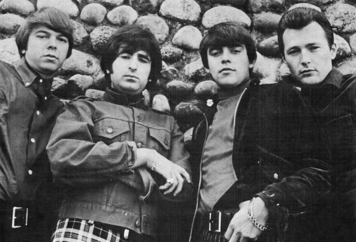 From Squeaky Clean to Dirty Water My Life with the Sixties Garage Rock Trailblazers the Standells