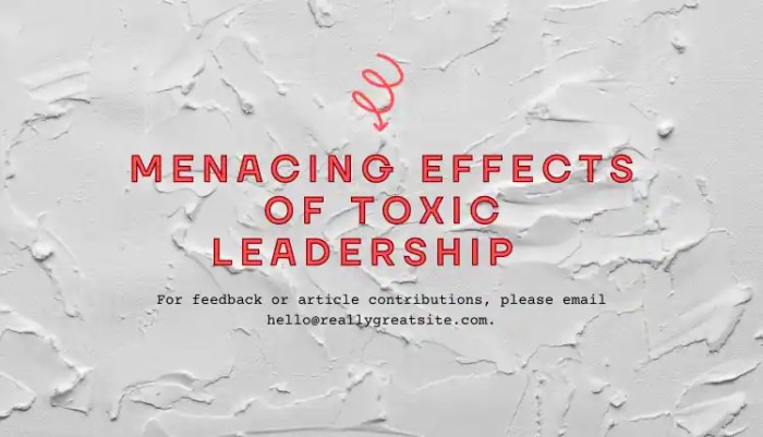 Common Sense Leadership Matters Toxic Leadership Destroys