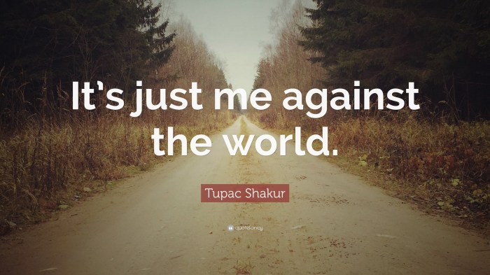 Against world me quotes quotesgram