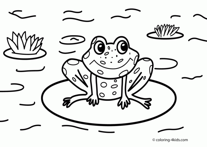 A Naturalist's Coloring Book For Nature Lovers of All Ages