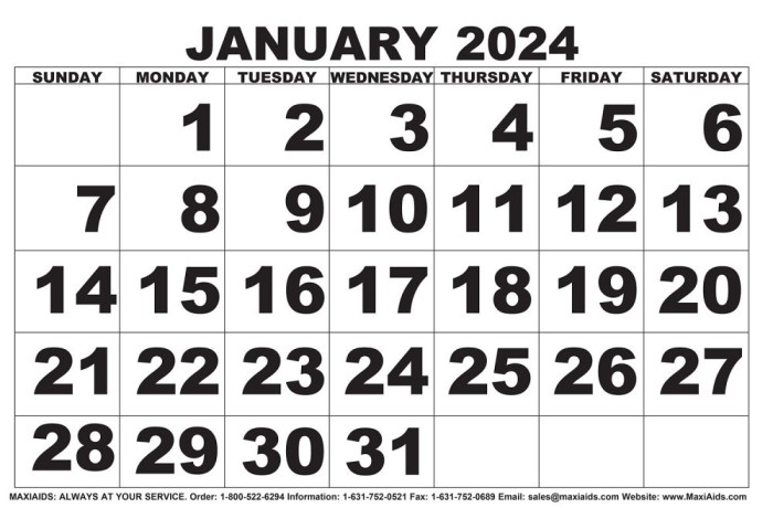 Bigger & Better 2023 Planner LARGE PRINT Weekly and Monthly Calendars for the Vision Impaired Low Vision and Seniors  Dogs