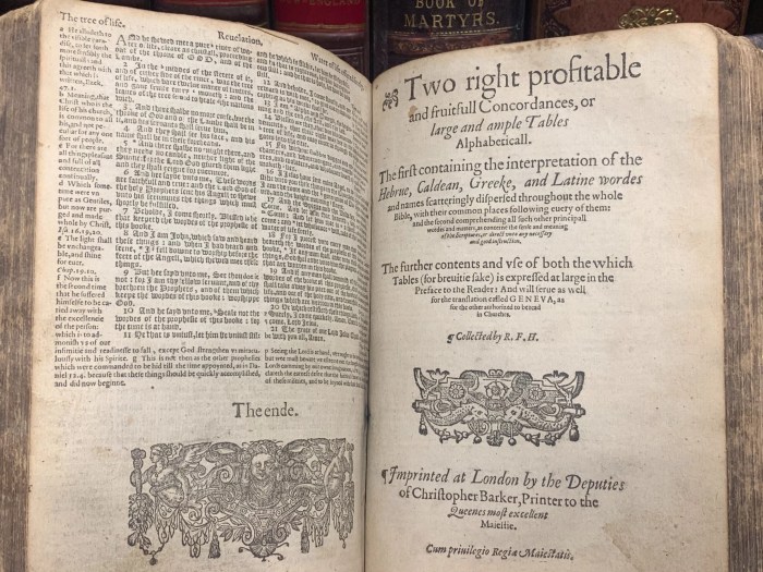 Geneva 1560 calvinista calvinismo scripture imprimerie renaissance medieval serpents mormon anglican reforma 1537 calvino apparition