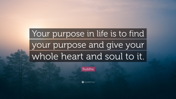 Purpose life find soul buddha quote heart give whole wallpapers quotefancy