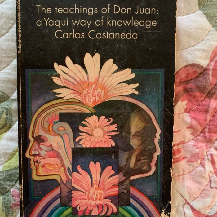 The Teachings of Don Juan A Yaqui Way of Knowledge