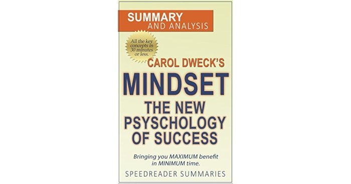 Dweck carol mindset book psychology success reflection