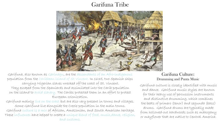 Garífuna Ancestry The DNA Quest to Decipher the Garifuna Distant Past