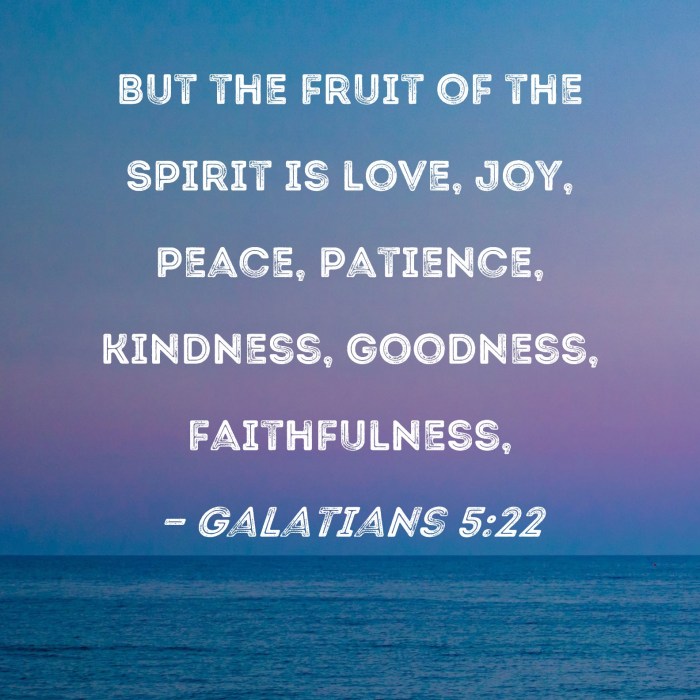 Nkjv galatians spirit peace joy fruit love gentleness self control there goodness faithfulness kindness such against but law longsuffering