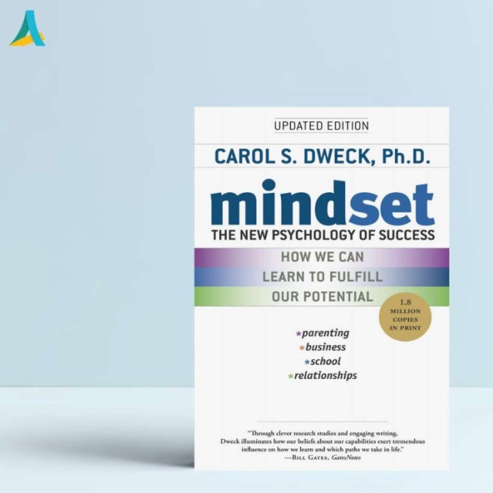 Mindset success psychology