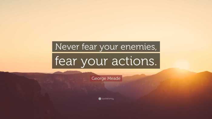 Fear actions meade george enemies never quote quotes