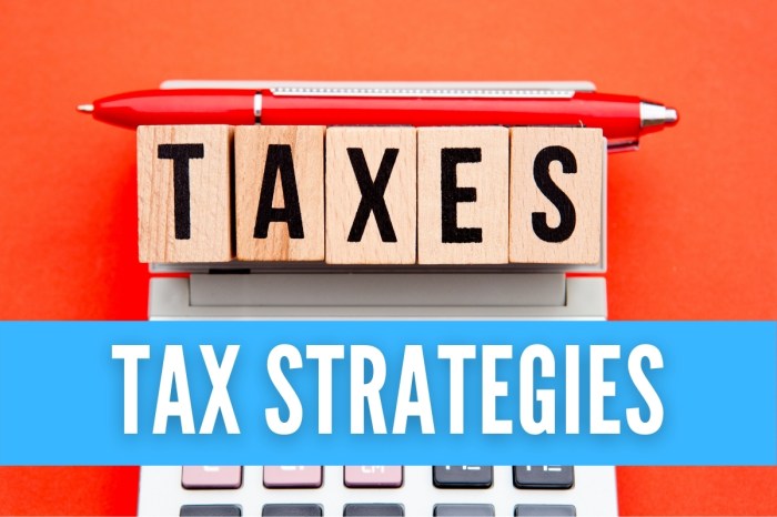 How to Build a Million Dollar Tax Representation Practice A Step-by-Step Approach