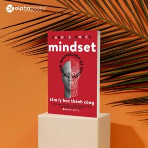 Mindset psychology success dweck carol