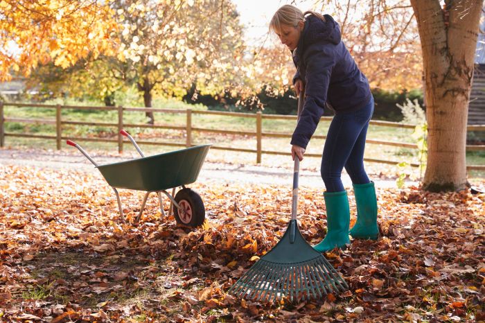 Rake raking chatelaine istock