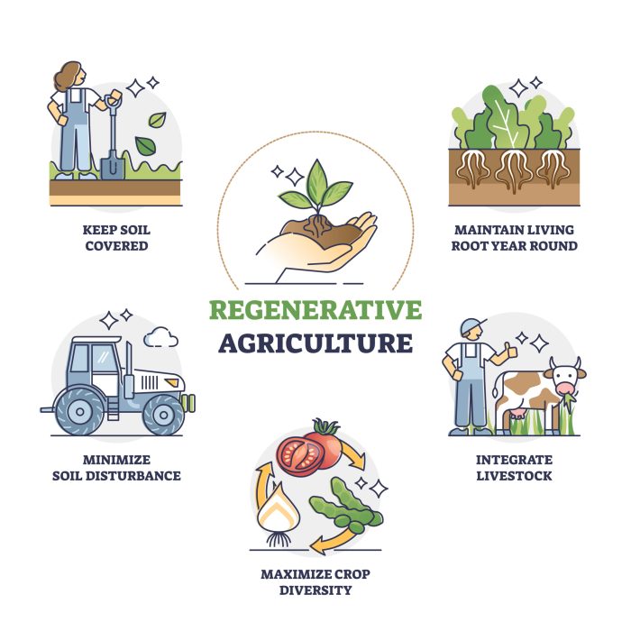 Soil Science For Regenerative Agriculture A Comprehensive Guide To Living Soil No-Till Gardening Composting And Natural Farming - Complete With A Step-By-Step Action Plan To Quickly Grow Soil