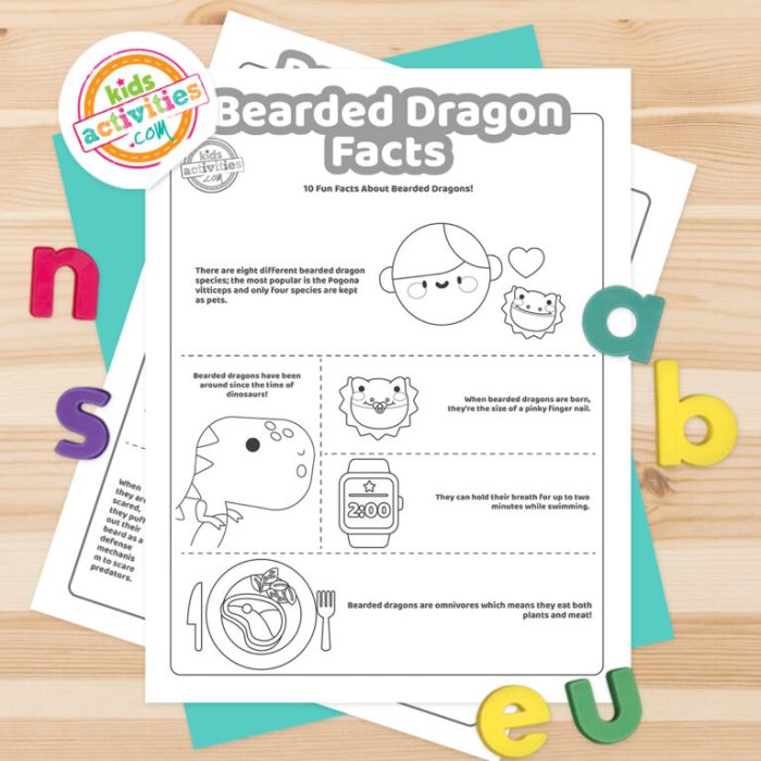 Fun Facts About Bearded Dragon 31 Frequently Asked Questions by Beardie Pet Owners & Lovers - Short Picture Book for Kids