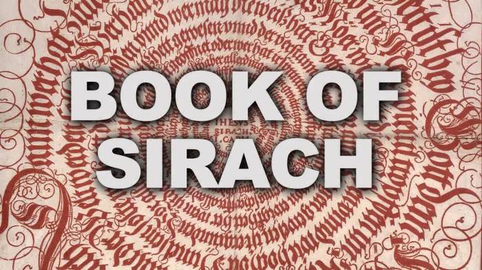 Wisdom sira ben books translation notes bible book sirach flip amazon