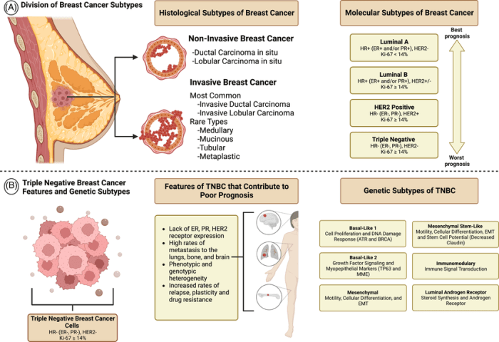 Cancer decoded genome genetic