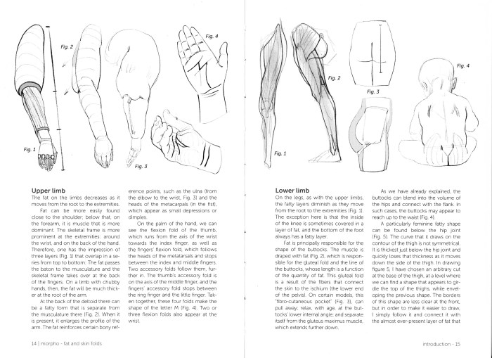 Morpho Fat and Skin Folds Anatomy for Artists (Morpho Anatomy for Artists 4)