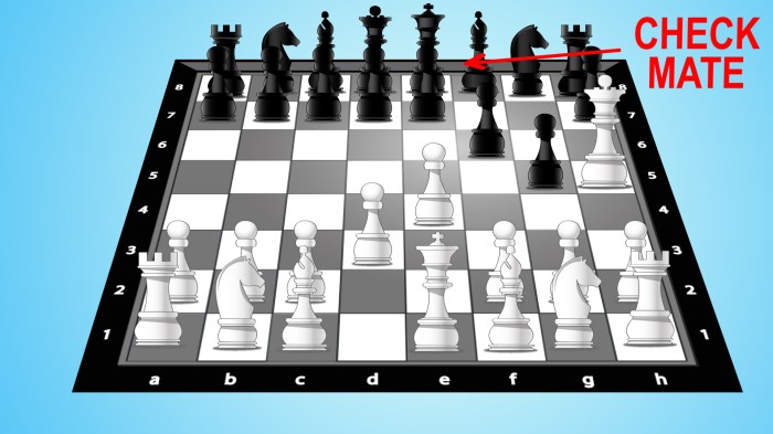 Checkmate chess moves achieve play howcast good king