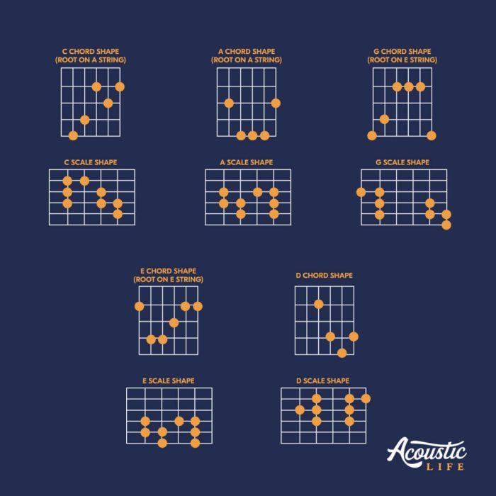 Caged system template guitar