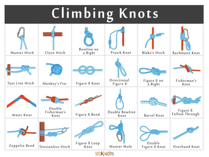 Knots climbing tie grog step learn using animated