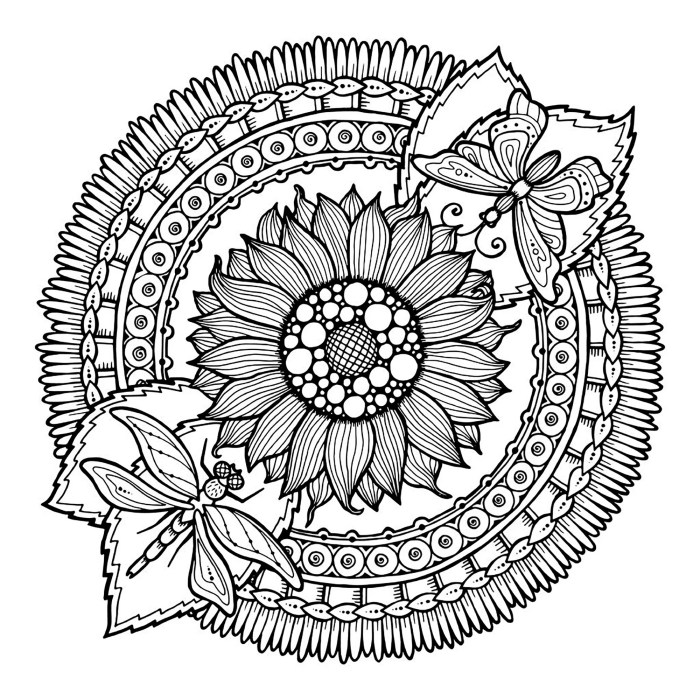 Mandalas With Beautiful Borders Volume 5 A mandala coloring book featuring 40 original designs surrounded by beautiful borders. 8.5 x 8.5 in size