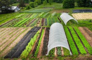 Soil Science For Regenerative Agriculture A Comprehensive Guide To Living Soil No-Till Gardening Composting And Natural Farming - Complete With A Step-By-Step Action Plan To Quickly Grow Soil