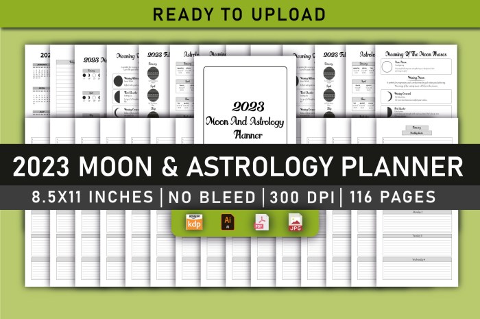 2023 Moon Astrology Planner Weekly Plan with Monthly Grid Calendar from Jan - Dec 2023