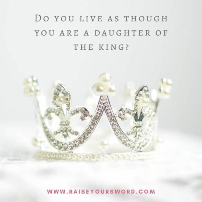 Princess in Progress Pursuing and Proclaiming Your Identity in Christ