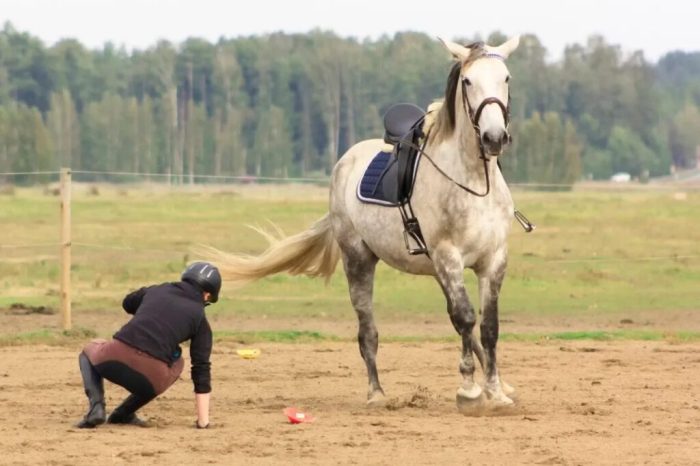 Falling girl disaster strikes horses captured riding horsenation hn