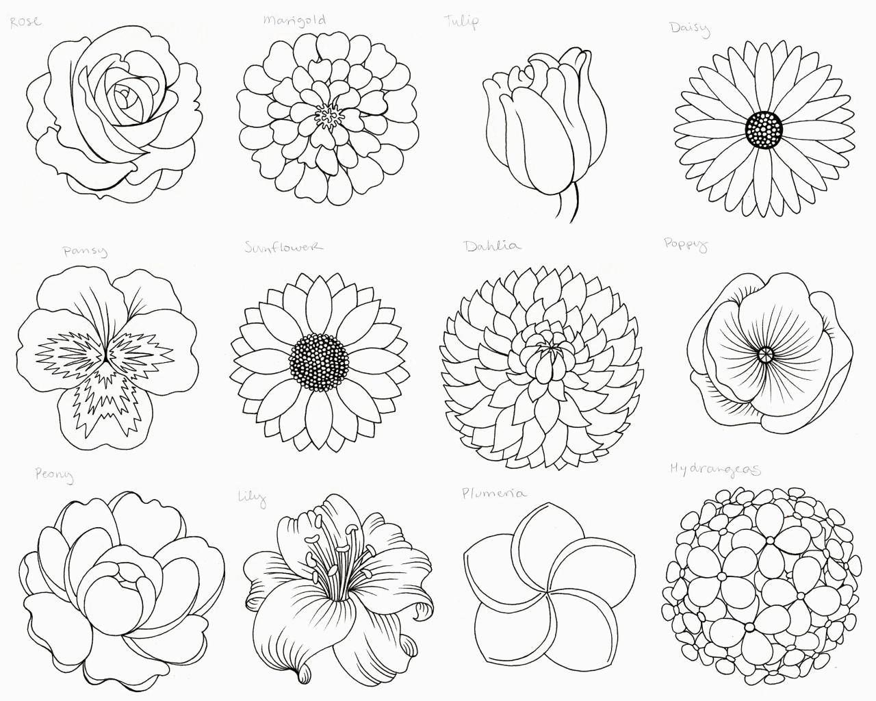 Flowers Made Easy Vol 2 A Step By Step Beginner Friendly Flower Drawing Tutorial Book (Simple) (Drawings Made Easy)