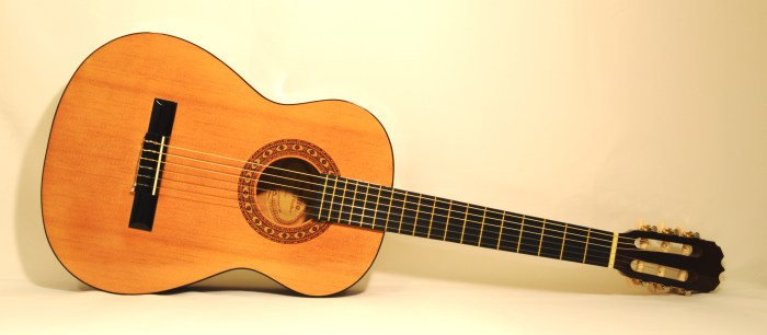 Acoustic guitarra guitars 41in cutaway estuches estuche