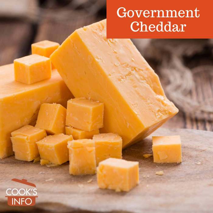 Govt Cheese A Memoir