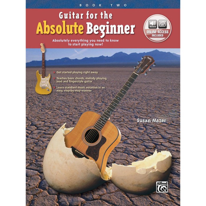 Dvd acoustic guitar agde beginner cd deluxe primer edition book wholesale