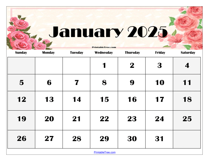 2023 2025 Monthly Planner Floral 2023 2025 Monthly Planner Calendar Organizer 36 Months 8.5 x 11 Large Print Contacts Password Log Pages