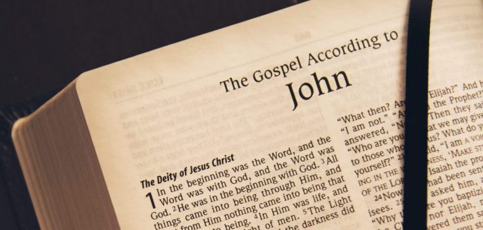 John gospel who wrote author disciple became flesh word evidence provides explicit concerning internal its zondervanacademic