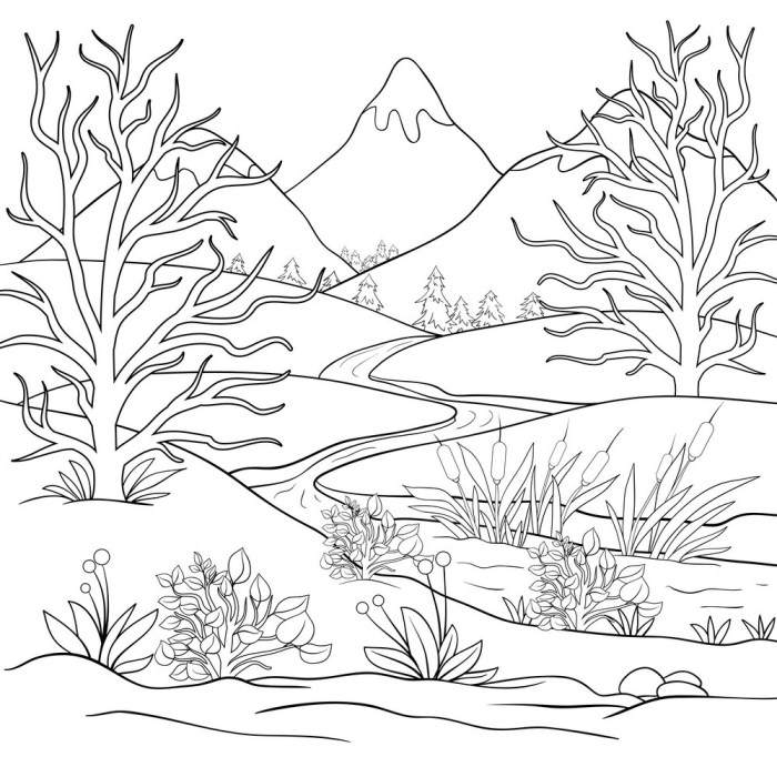 Nature Coloring Book 50 Forest Mountains Lakes and Valley Coloring Pages for Adults. Amazing Grayscale Scenes for Hours of Relaxing Coloring. 8.5 x 11 Size