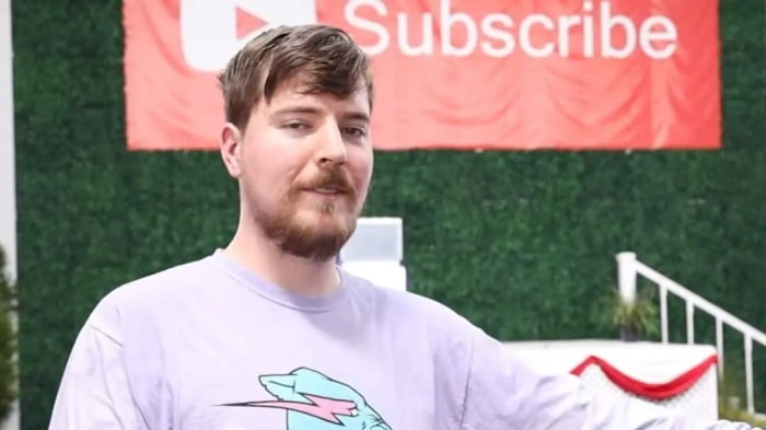 MrBeast The Man The Myth The Viral Visionary (Influencers)