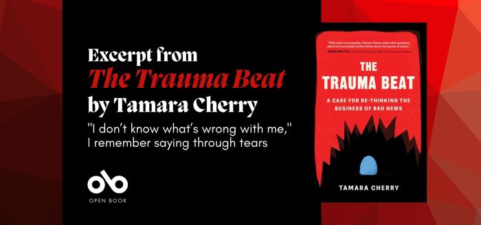 Through the Fire A Memoir of Trauma and Loss Basketball and Triumph