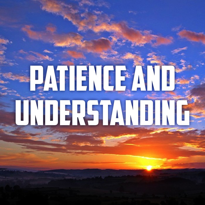 Consistent Patience The Guidebook