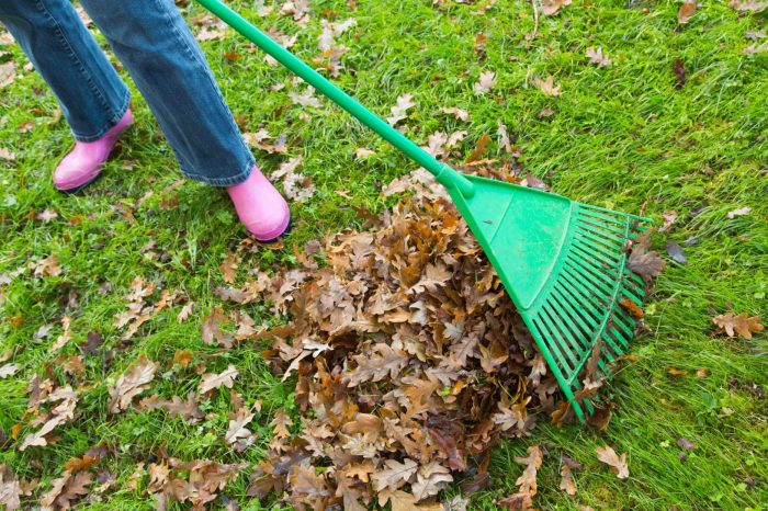 Raking leaves rake fall yardwork autumn dance playing shine365 proper form