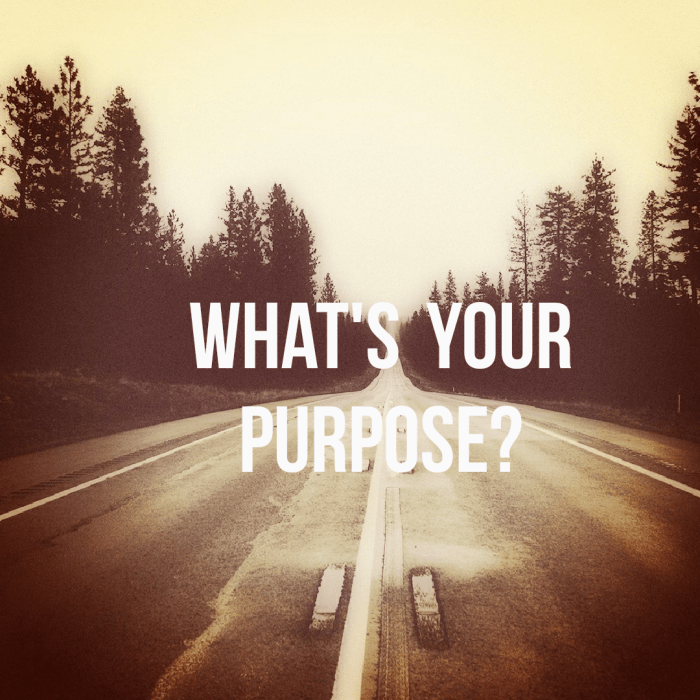 Purpose life