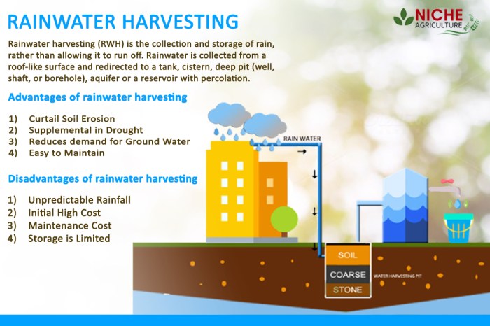 Rainwater harvesting water rain collection systems ideas storage roof house homes eco tanks system garden green conservation friendly building tank