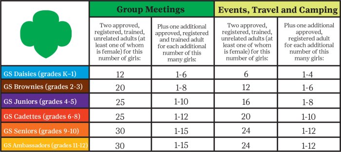 Troop Leader Planner 2023-2024 The Essential Organizer For Busy Scout Leaders Designed For Girls Of Any Level August 2023 - July 2024 Brownie Theme 8.5' x 11'