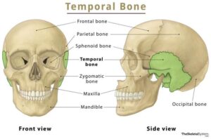 The Temporal Path Book 1