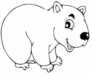 Cute Animal Coloring Book for Kids Baby Koala Makes Friends. Story and Easy Coloring Pages with Wombat Kangaroo Platypus and Other Exotic Australian Animals for Boys and Girls