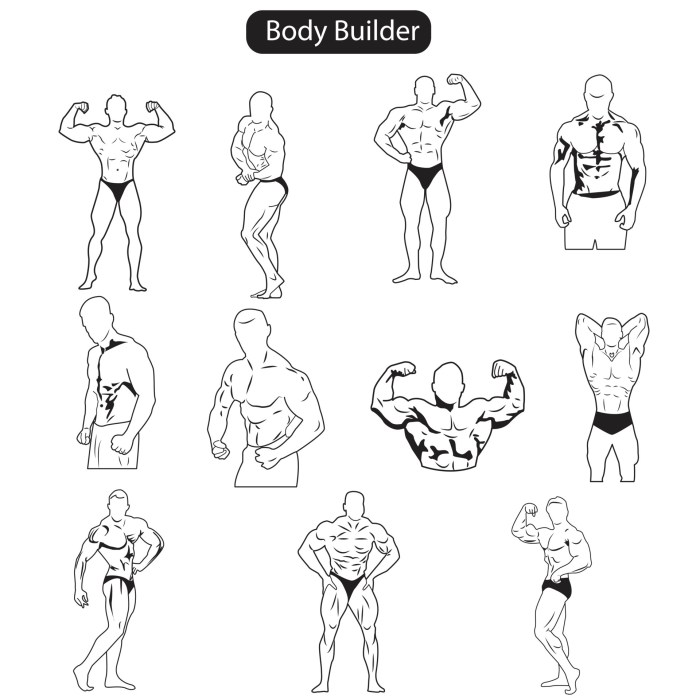 350 Poses for Artists Muscled Bodies Anatomy of the Musculature Drawings of bodybuilders and superheroes in different postures references to draw